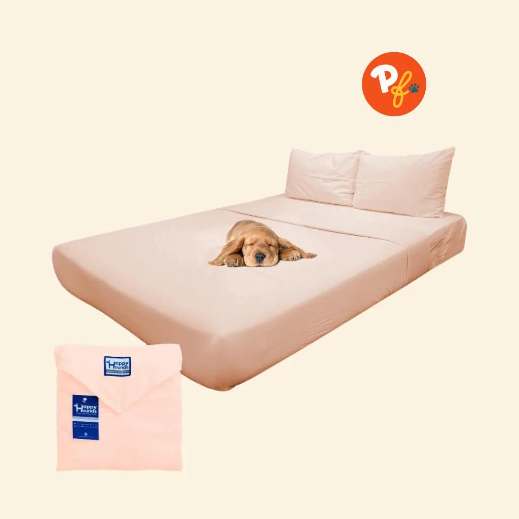 Happy Hounds 4-in-1 Furfficient Hydrophobic Sheets Set (Limestone Beige)